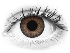 Café Brown lentillas TopVue Color daily (10 lentillas)