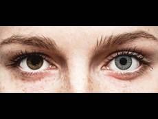 Gris Soft Grey lentillas TopVue Color daily Graduadas (10 lentillas)